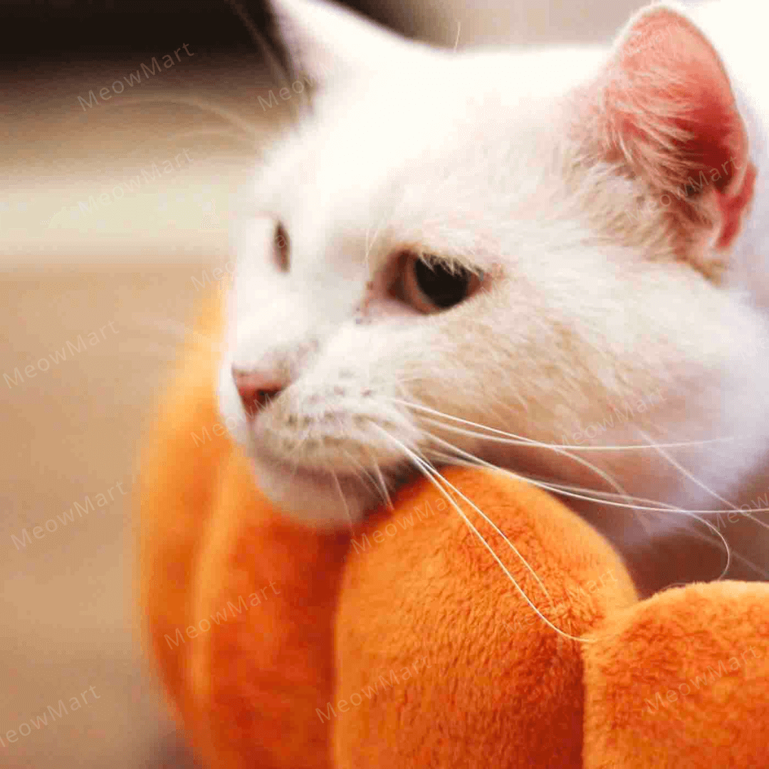 日本 Felissimo 水果撻寵物床