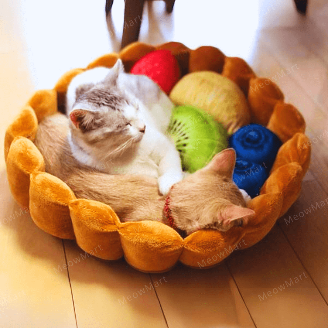 日本 Felissimo 水果撻寵物床