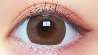Primore 1Day Color Contact Lens 每日即棄有色隱形眼鏡 (1DAY)(10片裝) Pri pearl brown 01