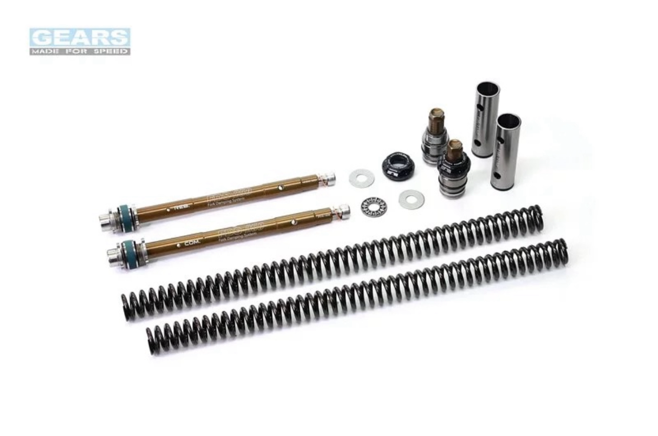 【集亞 GEARS】前叉阻尼系統 (FDS-250) SUZUKI GSX-R150/S150