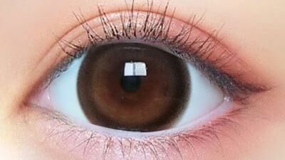 Primore 1Day Color Contact Lens 每日即棄有色隱形眼鏡 (1DAY)(10片裝) Pri dolly brown #05