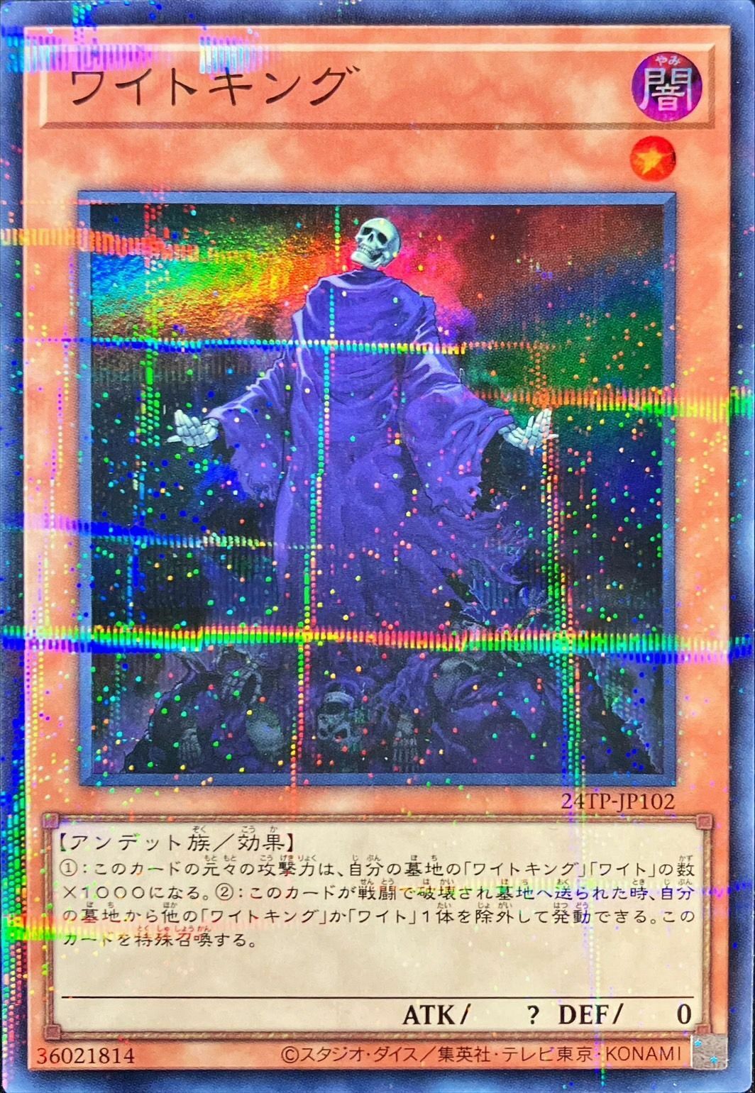 24TP-JP102 ワイトキング