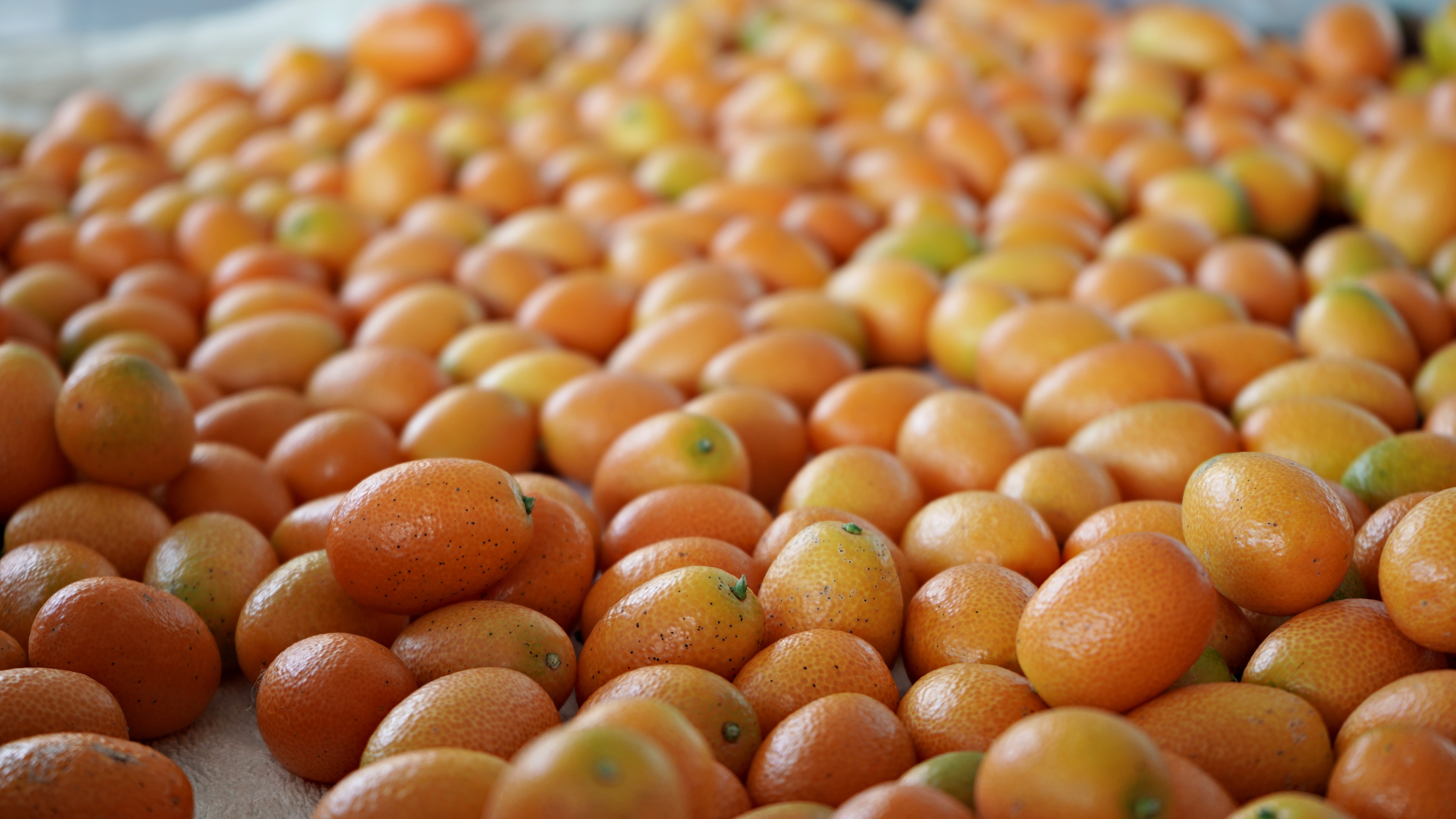 蘭陽金柑_金柑果乾（原味）