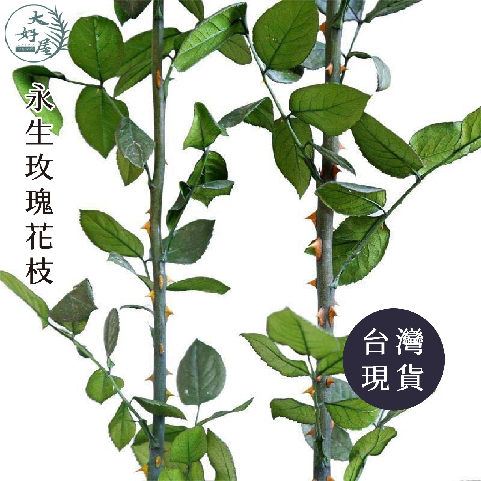 永生玫瑰花桿(花枝)