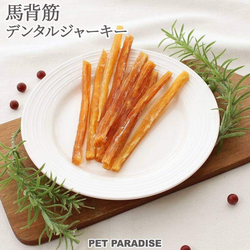 【Pet Paradise】 Horseback tendon