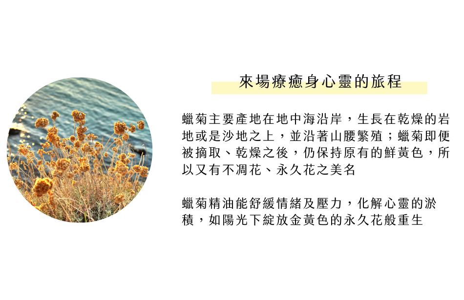 來場療癒身心靈的旅程