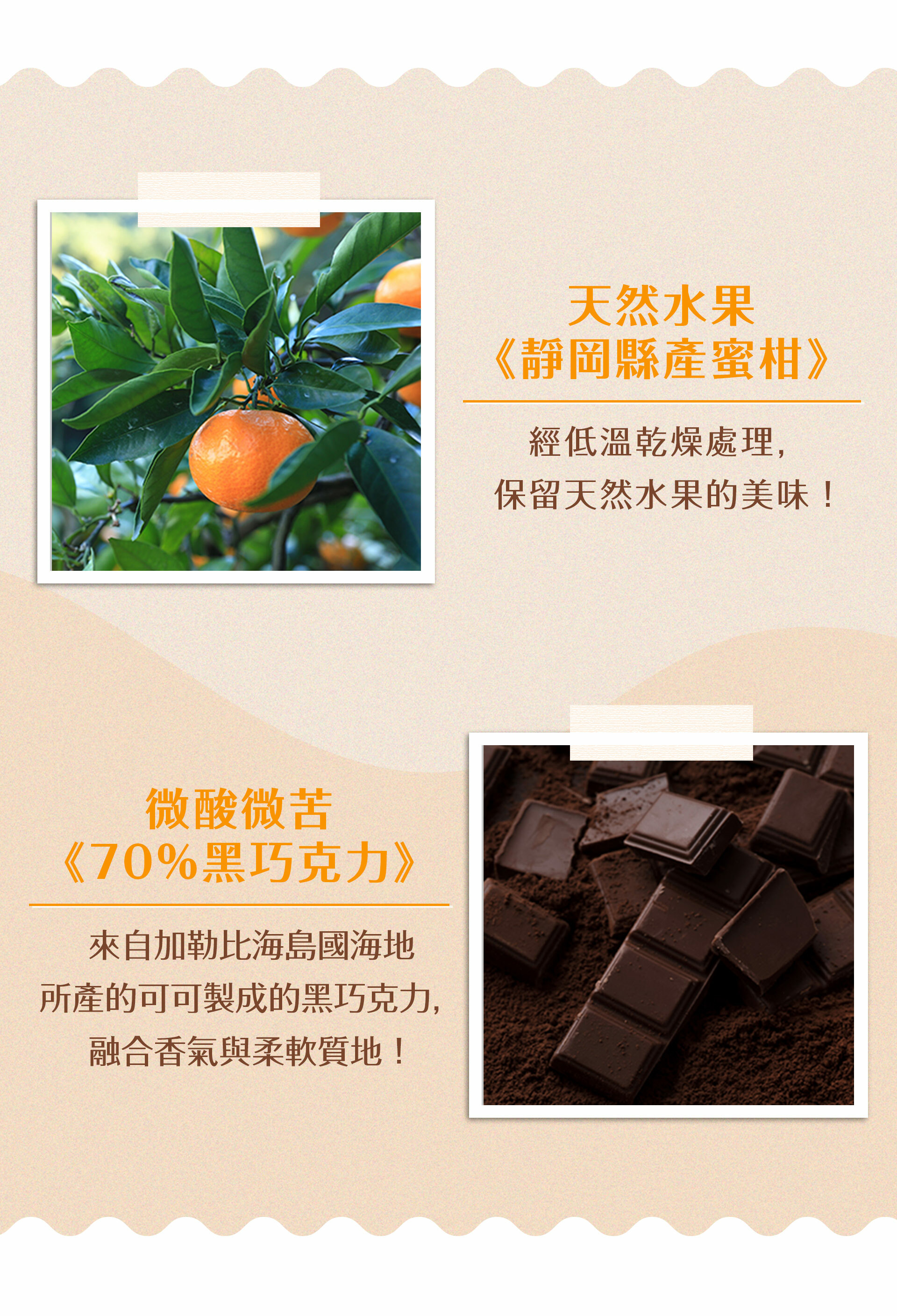 ▪︎ 低溫乾燥的「靜岡縣產蜜柑」黑巧克力 ▪︎ 清爽甜味、微酸甜的蜜柑果香