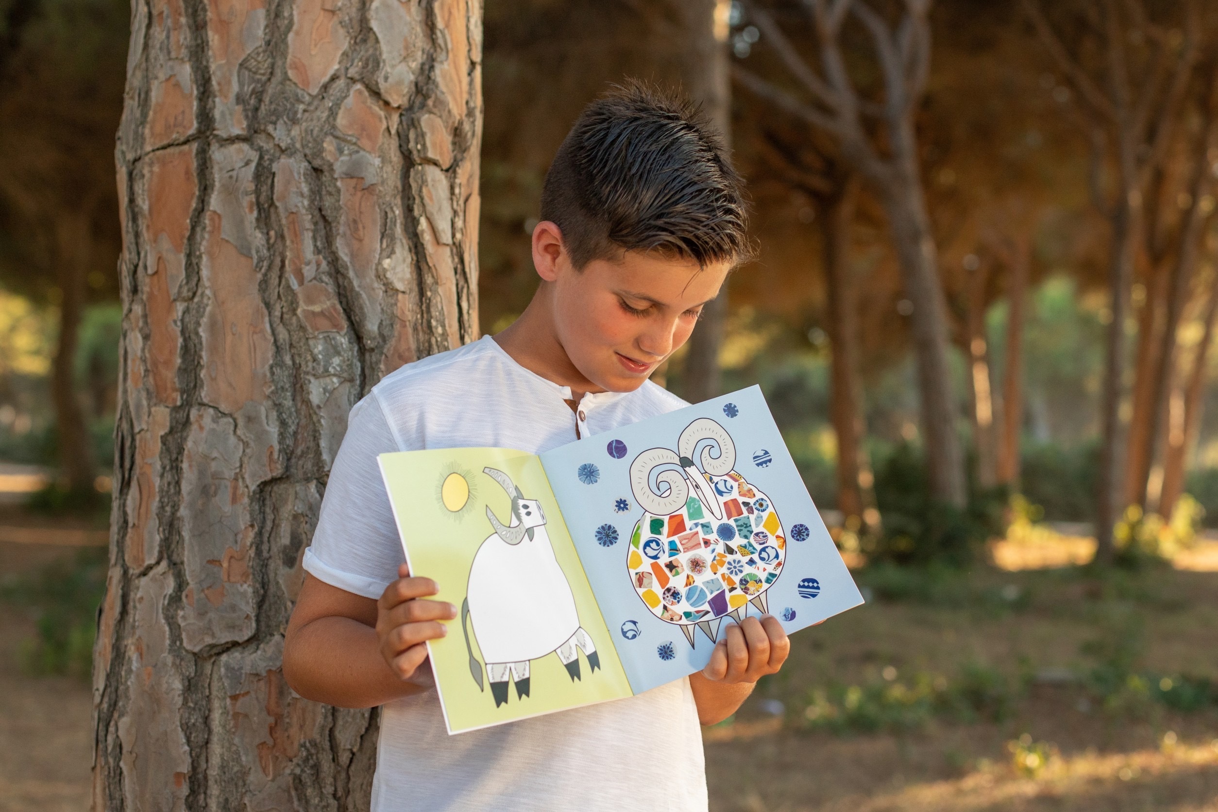 高第繽紛馬賽磚