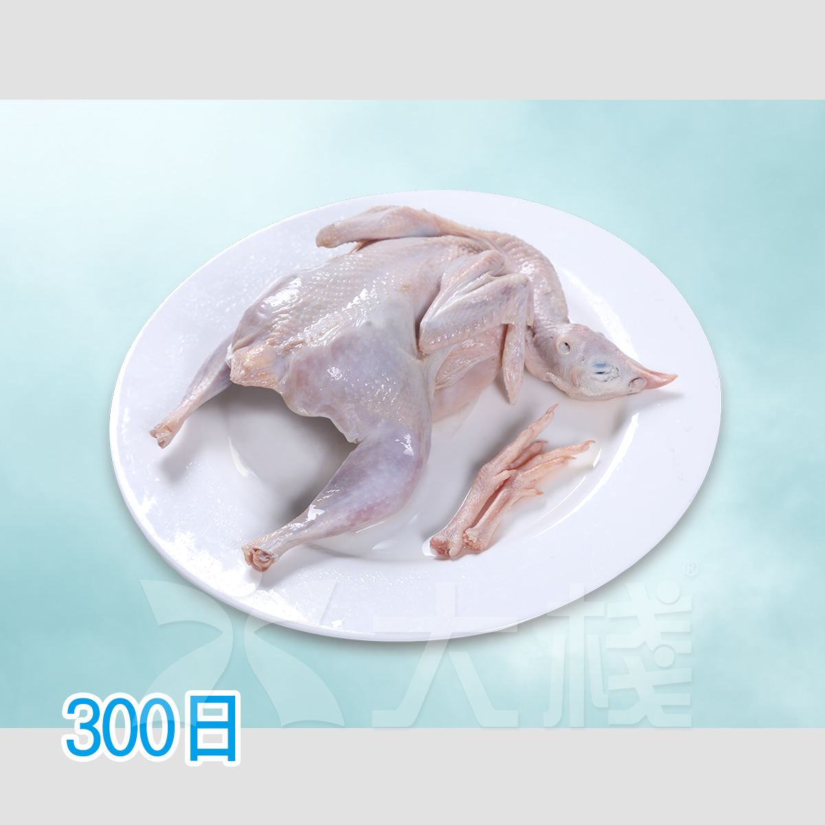 300日鷓鴣 - 滋補脾胃 (300克)