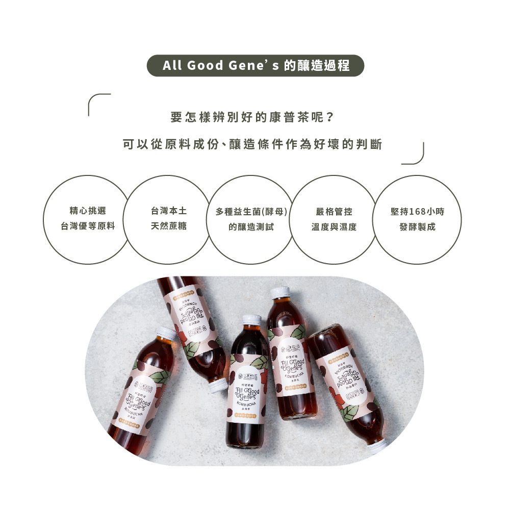 好菌好俊康普茶釀造過程