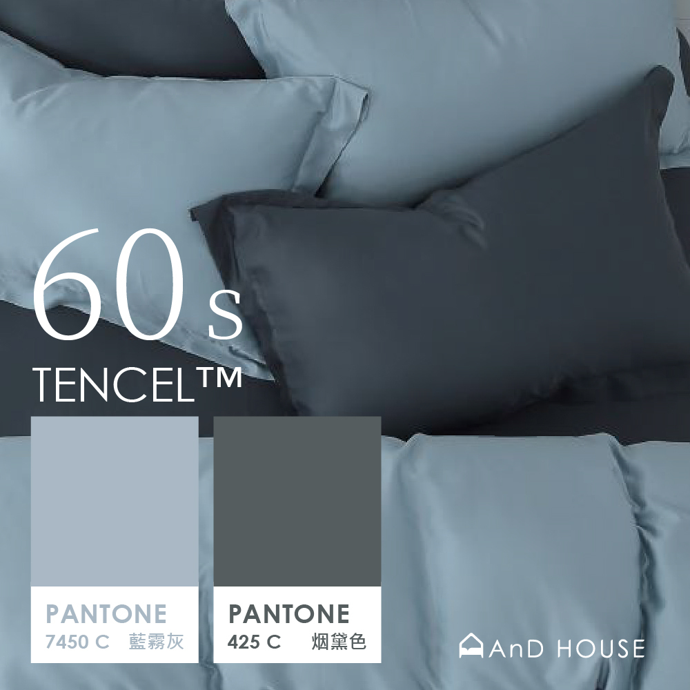 60支天絲｜100%萊賽爾｜雙色配｜烟黛色ｘ藍霧灰 灰色果實