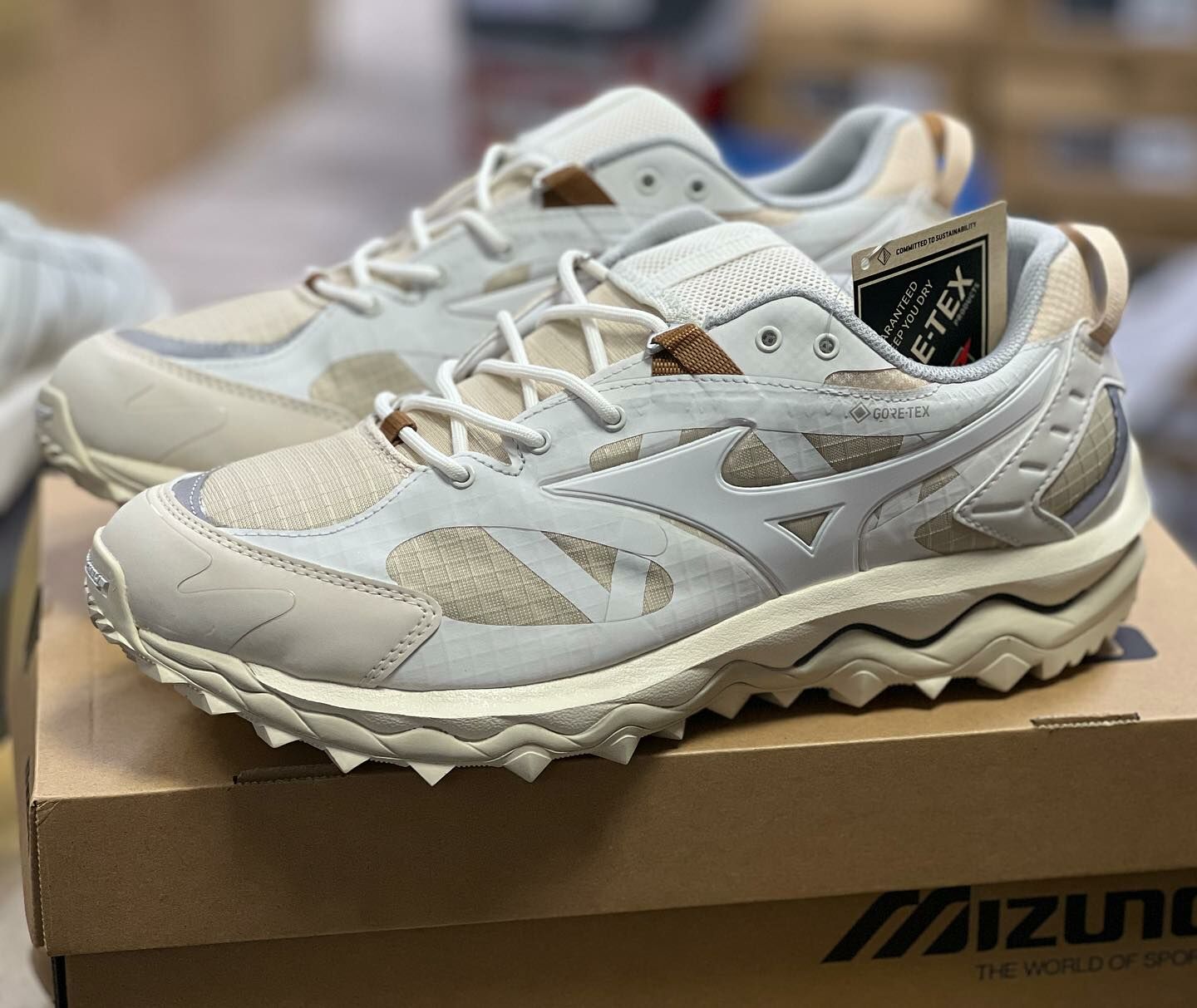 Mizuno wave mujin gore tex on sale