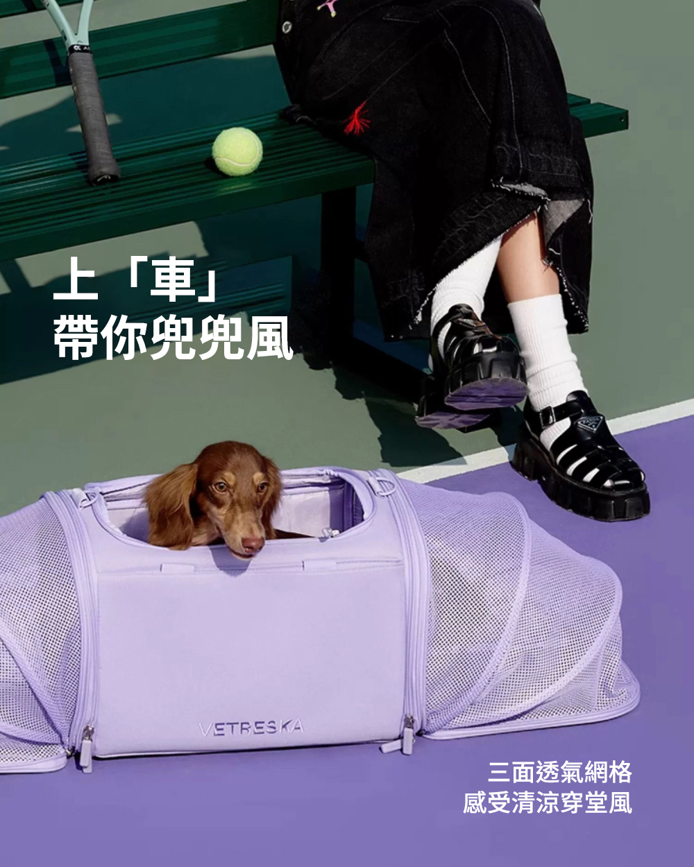 Vetreska 香芋紫寵物外出袋