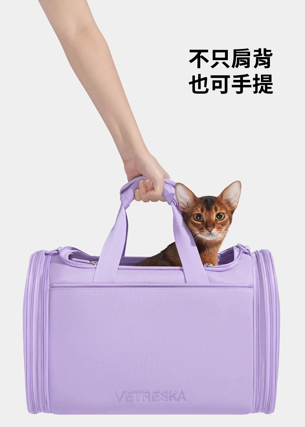 Vetreska 香芋紫寵物外出袋