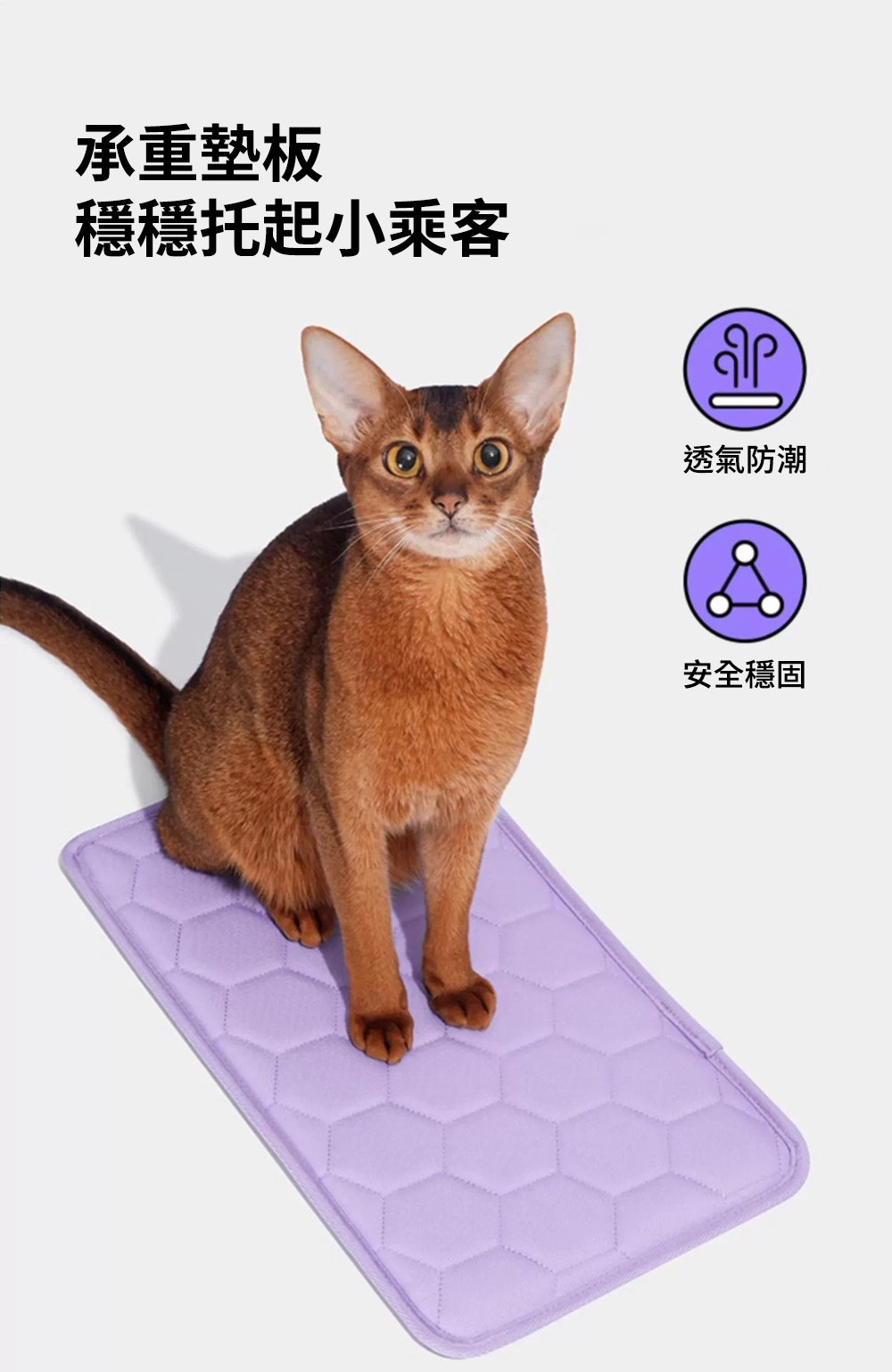 Vetreska 香芋紫寵物外出袋