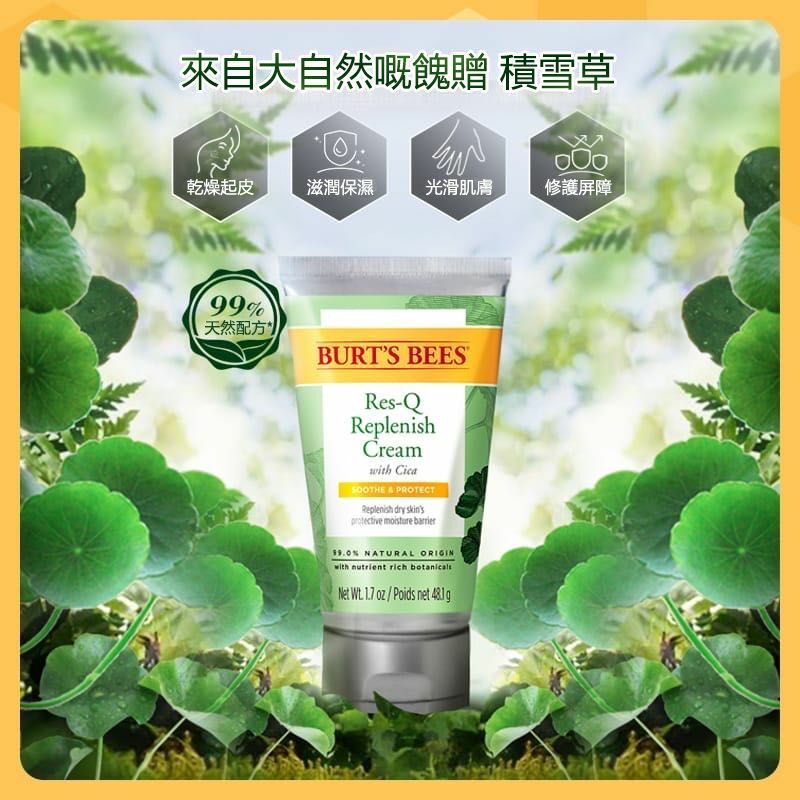 美國BURT'S BEES積雪草萬用急救霜 一套2支