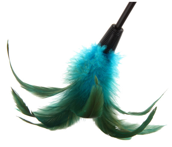 GIGWI - Feather Teaser 魔力貓棒 (藍羽毛)