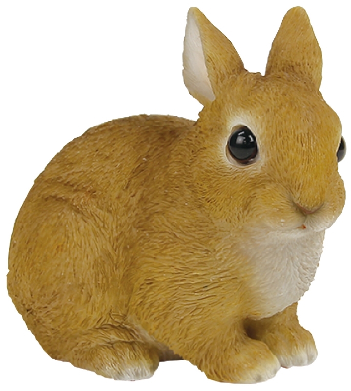 日本 magnet 寵物銀行 【兔兔存錢筒】