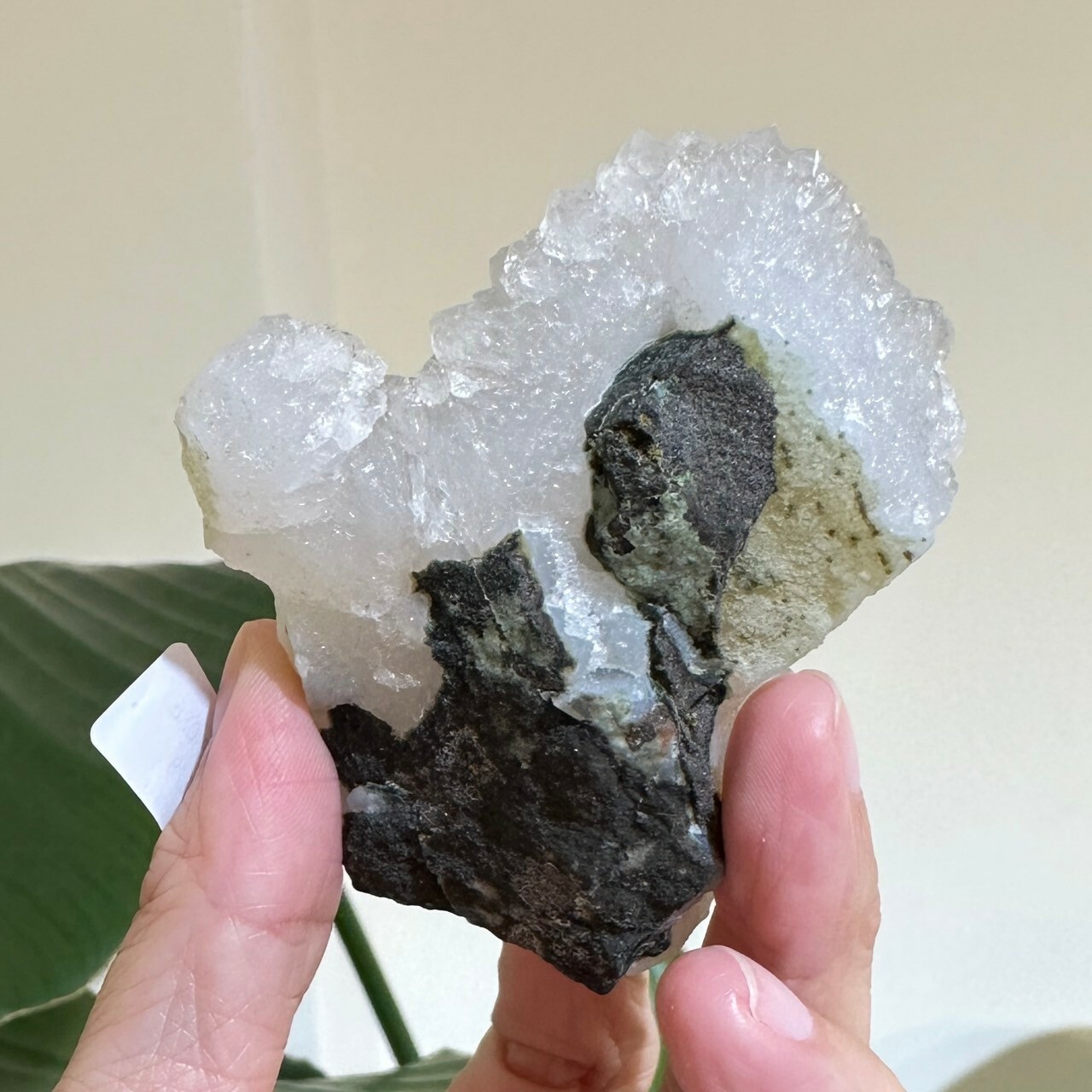 C5-2/8圖桑連線北印度天然彩虹光彩虹捉迷藏白水晶簇T240208-284