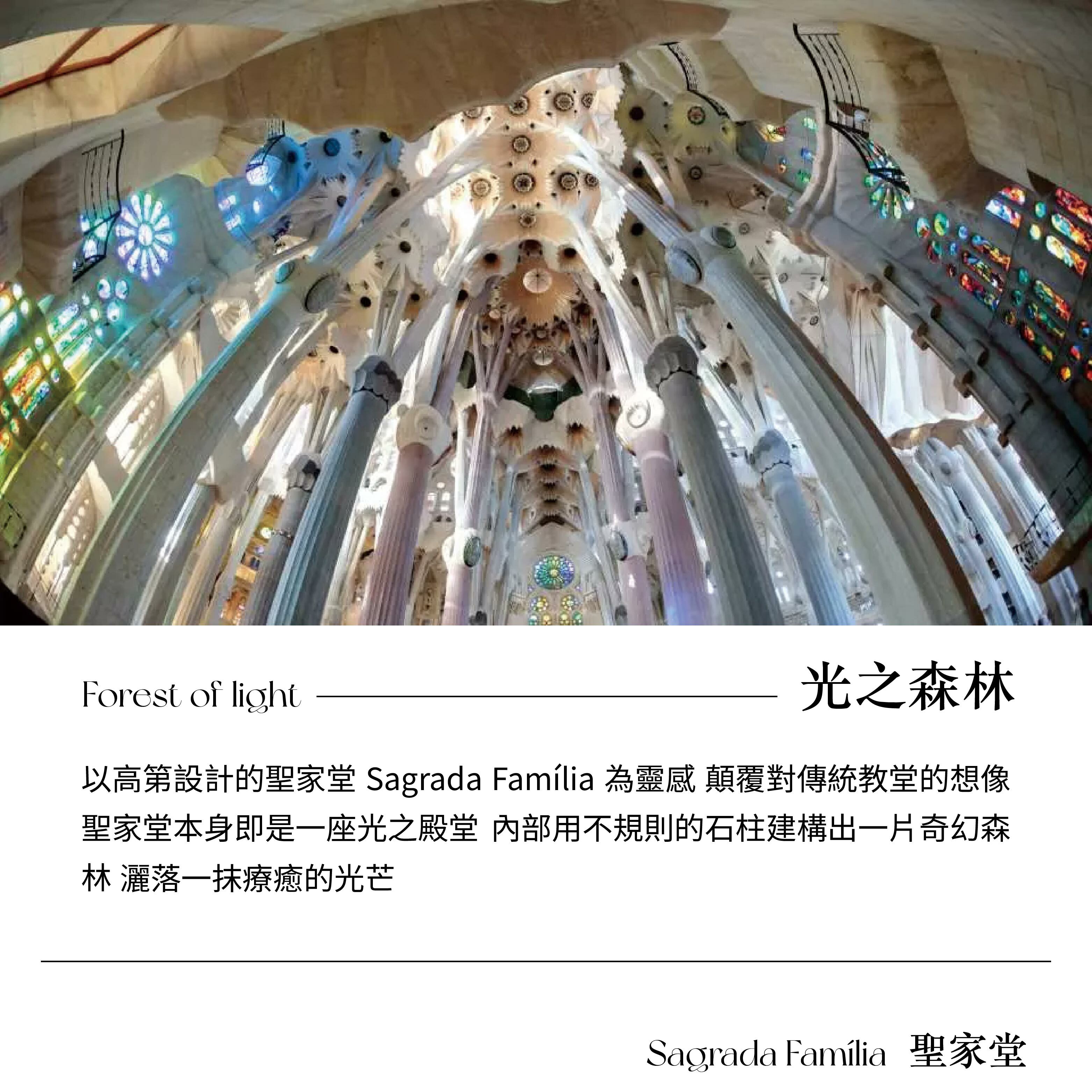 光之森林聖家堂