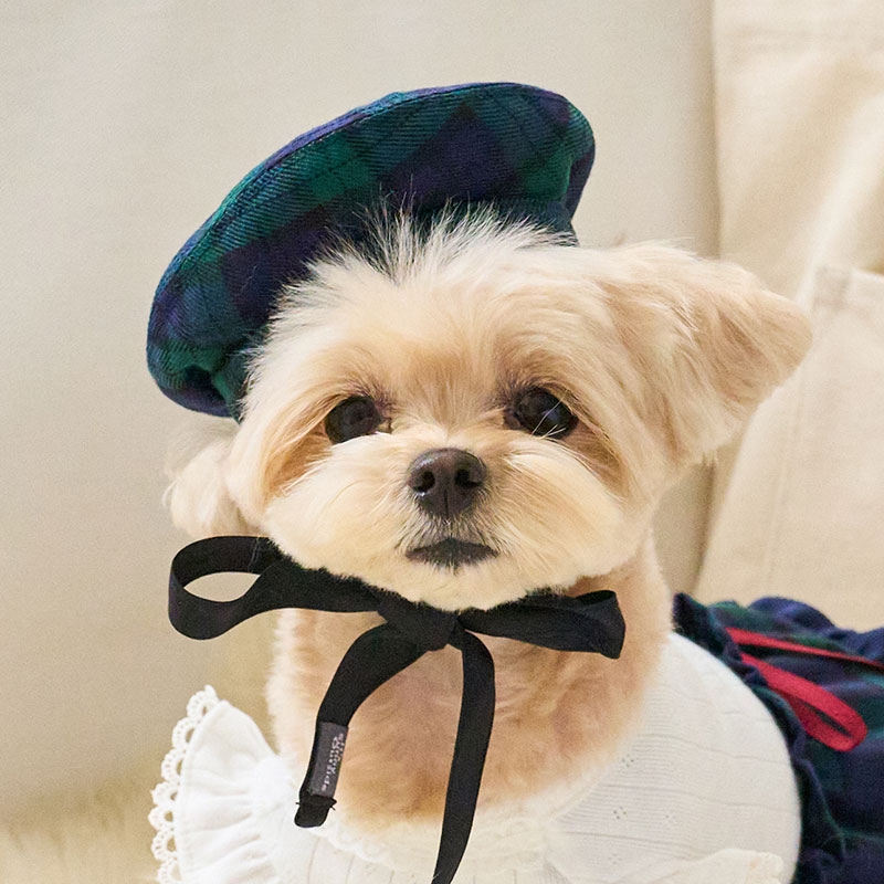 預科生 學院風-配件 貝雷帽-綠格 It’s sunny outside