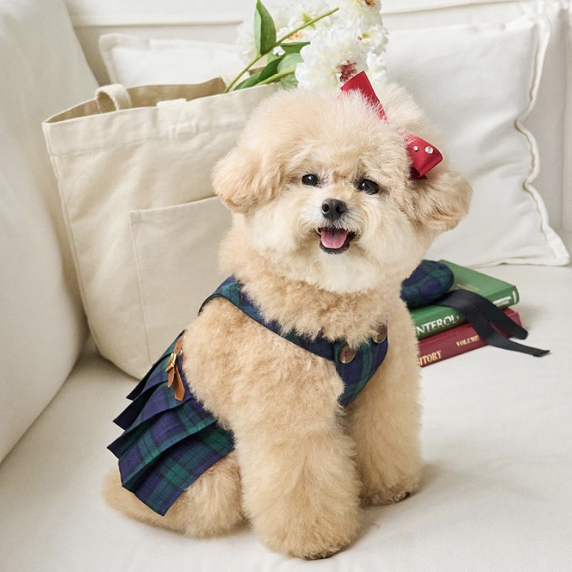 預科生 學院風-格紋洋裝-Green綠 Briton Check It’s sunny outside