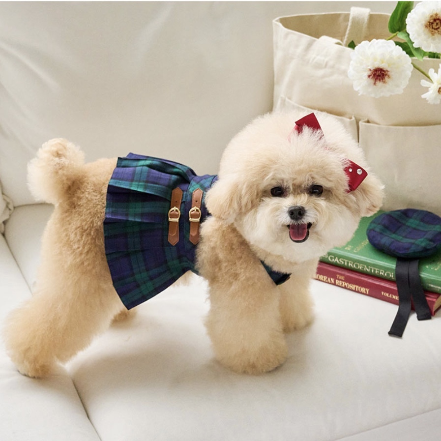 預科生 學院風-格紋洋裝-Green綠 Briton Check It’s sunny outside