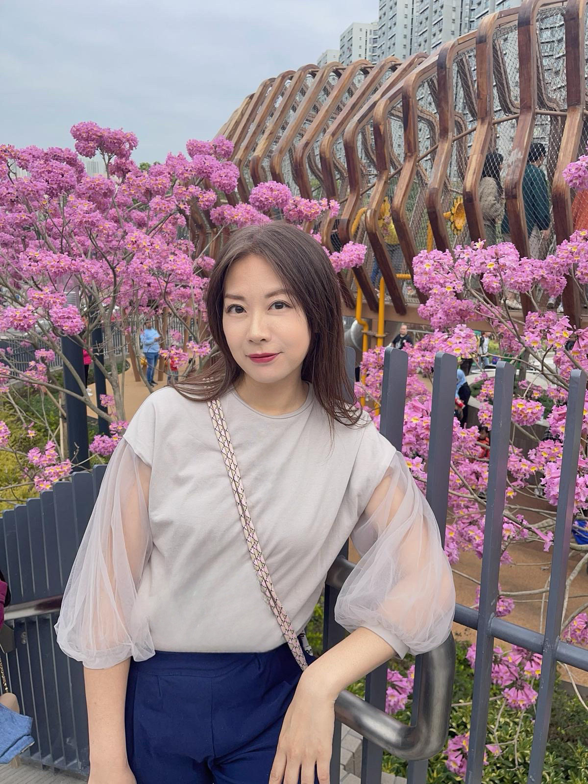 𓆞灰粉色歐根紗袖子上衣【日本直送】