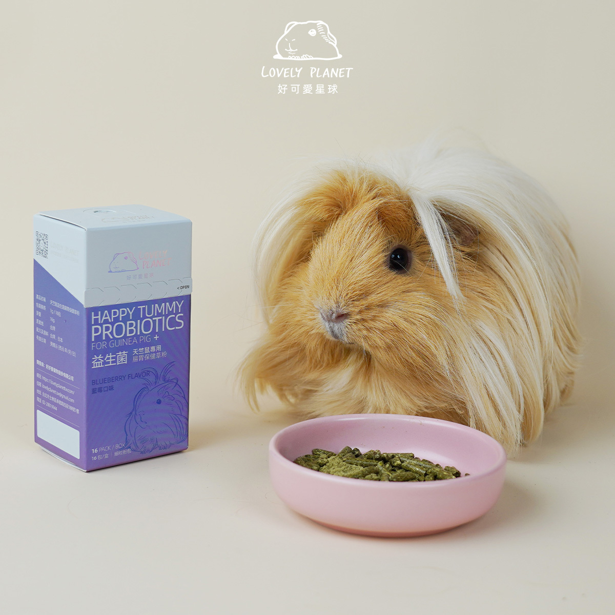 豬豬草粉｜天竺鼠專用益生菌腸胃消化保健草粉 (兔子、倉鼠等囓齒毛孩也適用)【好可愛星球 X 提琉比長壽村】