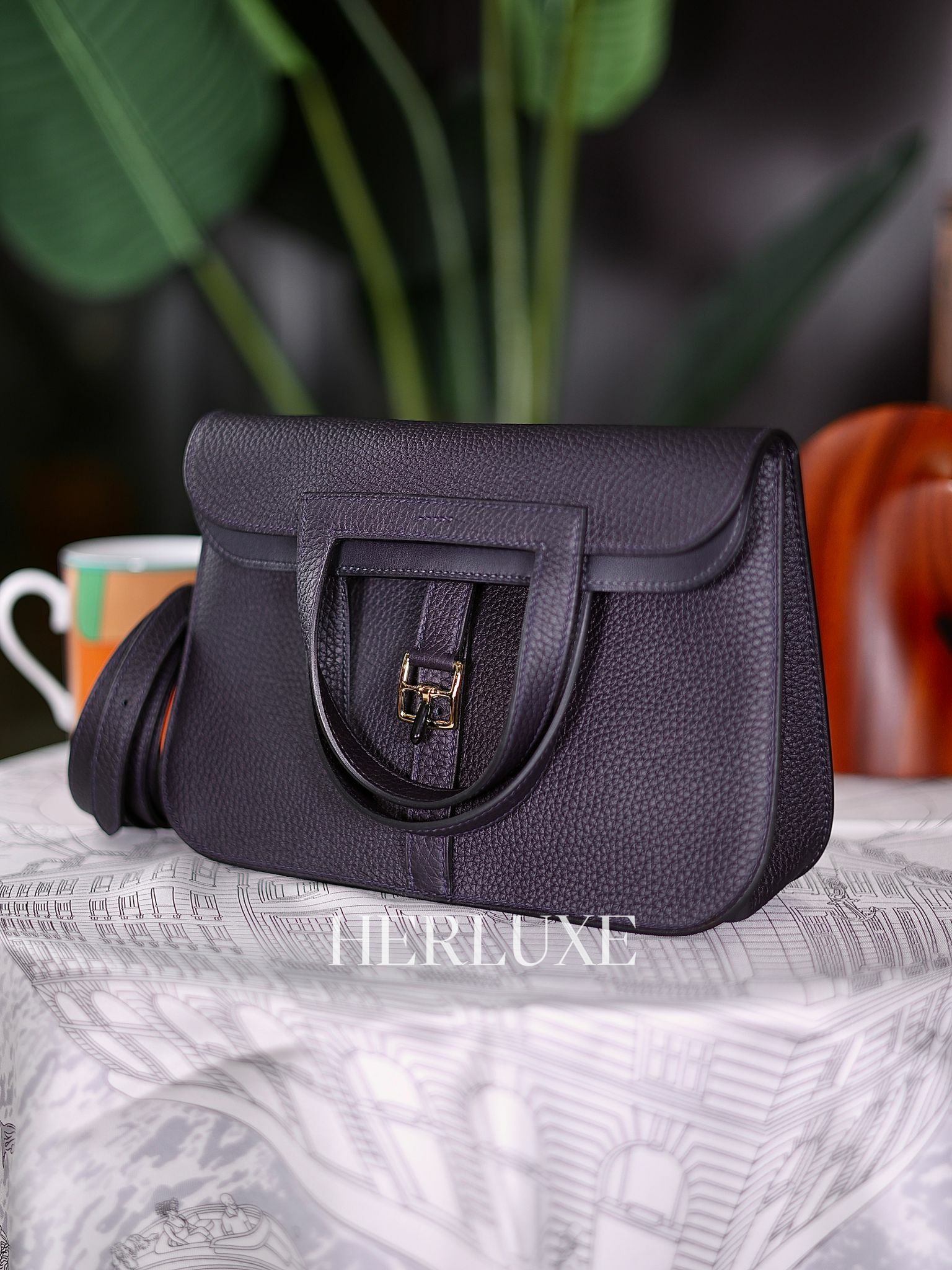 Halzan 25 3Y caban tc cc W