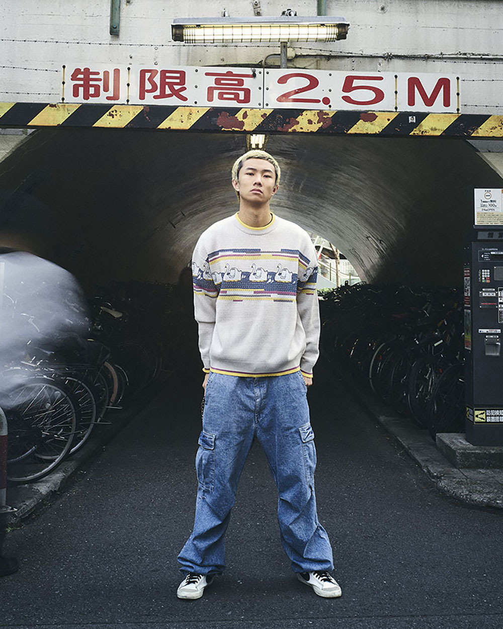 Queuing Swan boats Long Sleeve Top