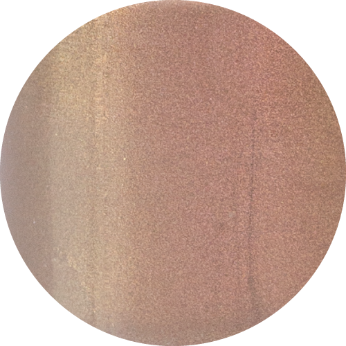 ARTiS di Voce 彩色指甲油 LC26