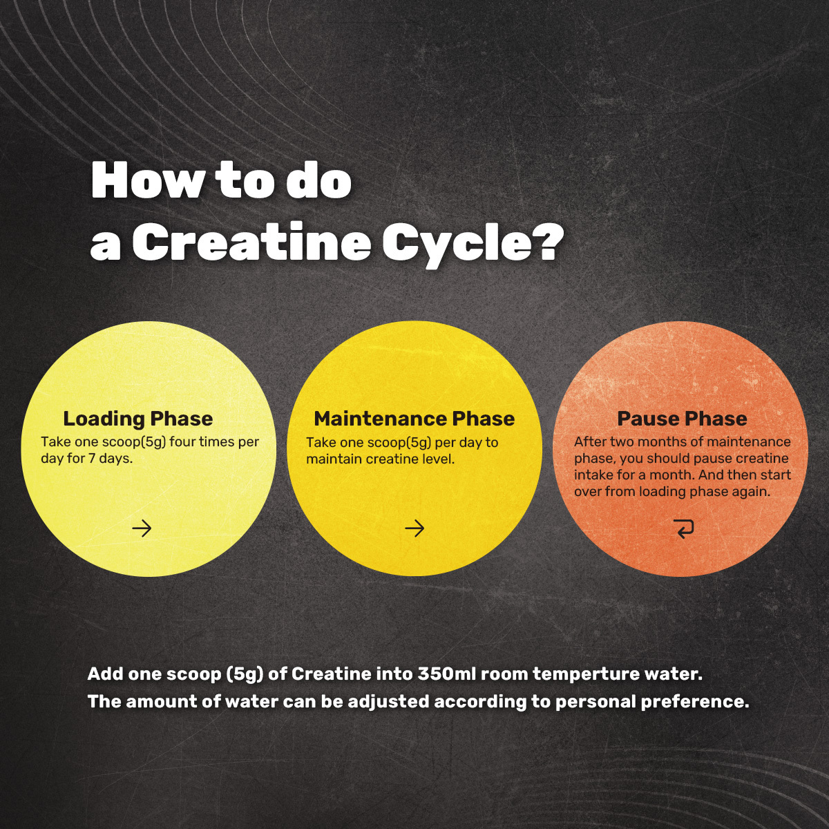 creatine cycle