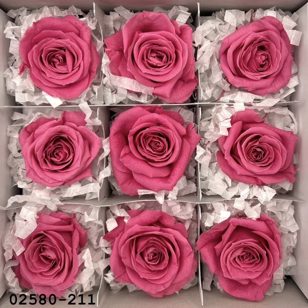 不凋小輪玫瑰(9朵) 02580-211