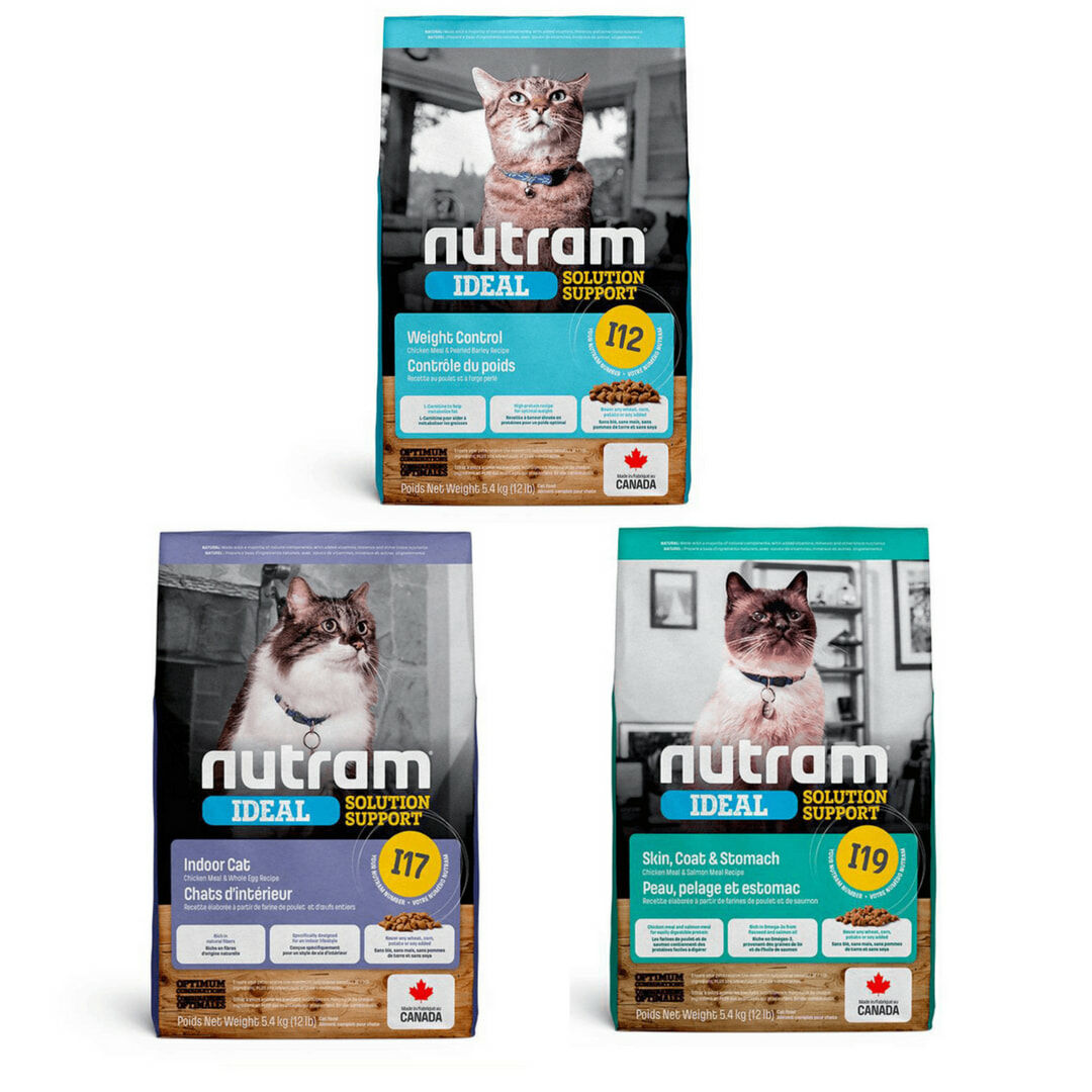 紐頓 I12 /I17/I19 專業理想系列 |貓飼料