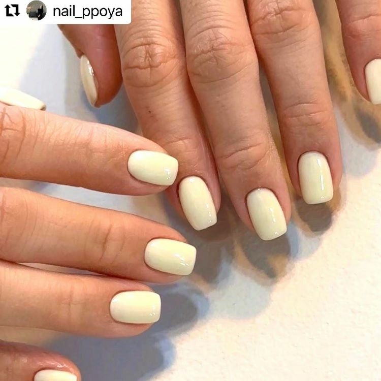 VERYGOODNAIL 🫶🏻 Y17~Welcome Spring~ Collection