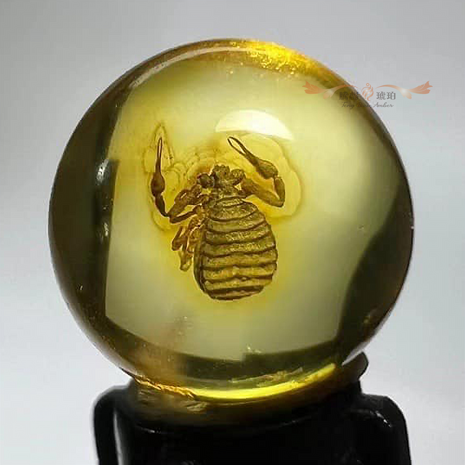 傳家款3A天然波羅的海琥珀地擬蠍化石單珠擺掛墜