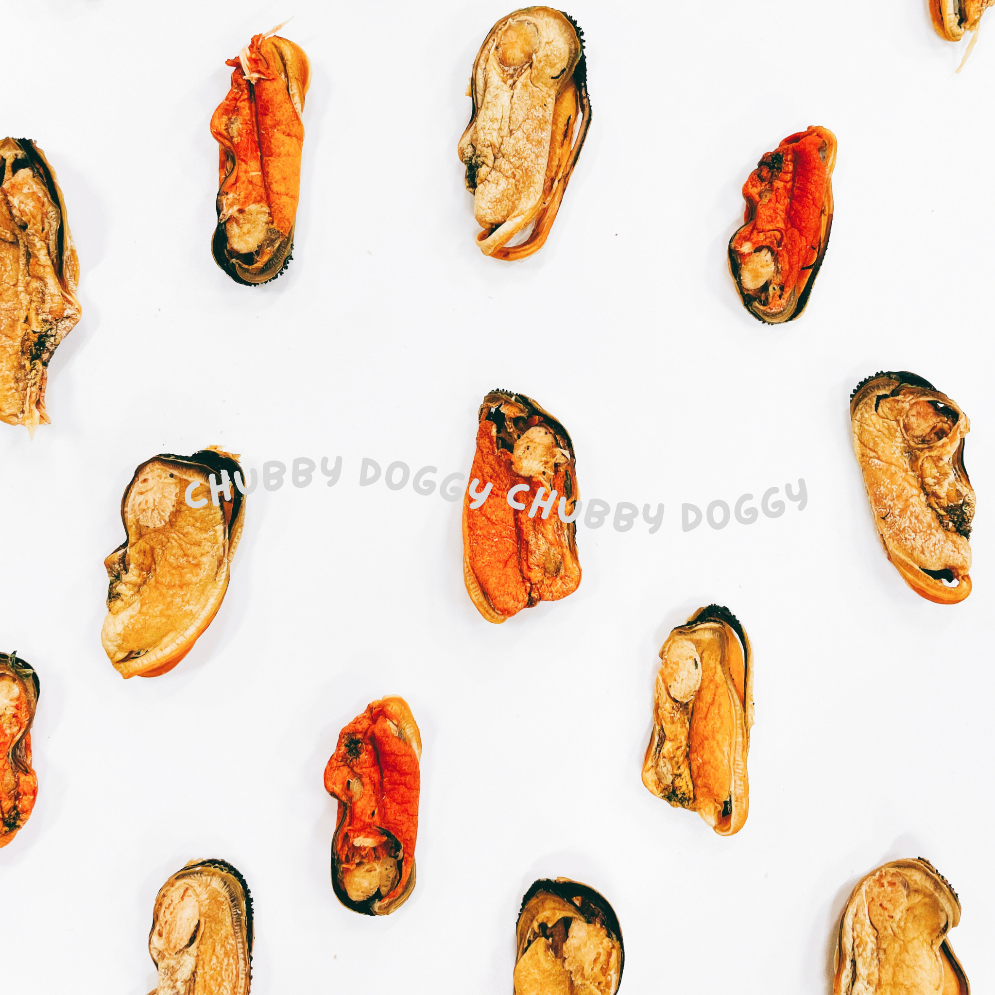 紐西蘭綠唇貽貝．保健兼具美味的關節聖品