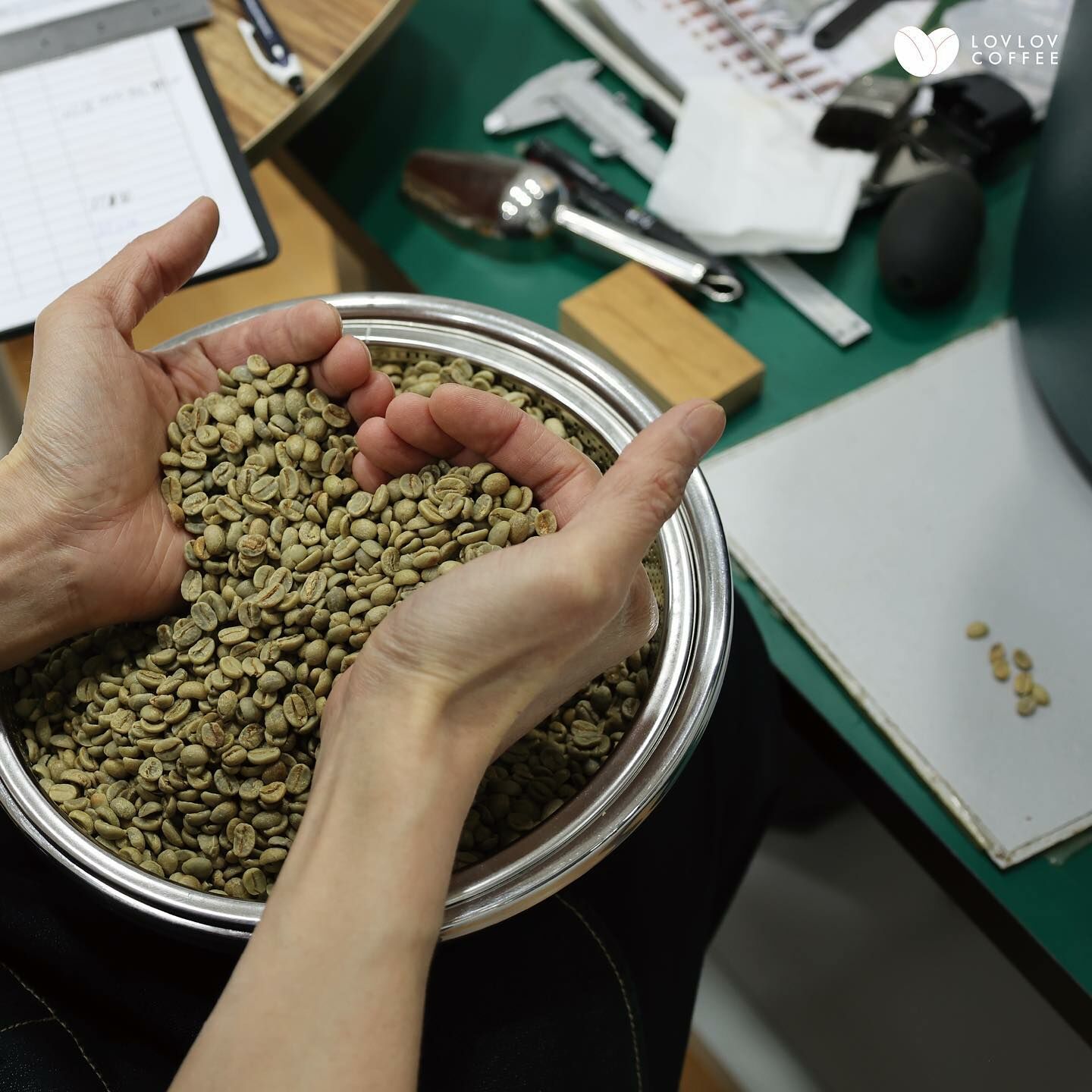 SCA Green Coffee Foundation & Intermediate 咖啡生豆基礎及中階證書課程