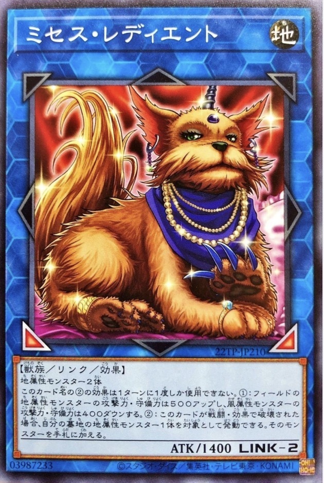 22TP-JP210 ミセス・レディエント