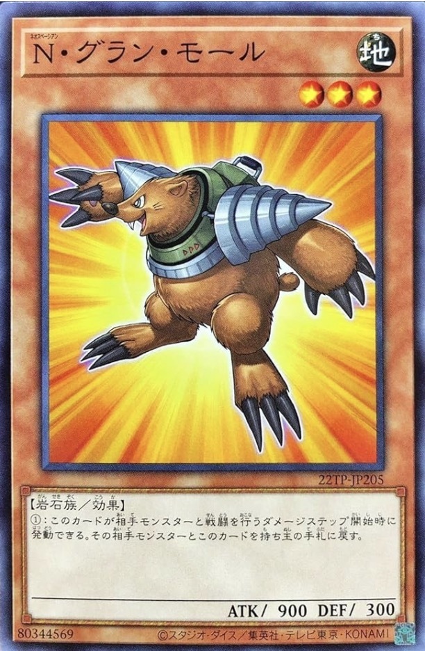 22TP-JP205 N・グラン・モール