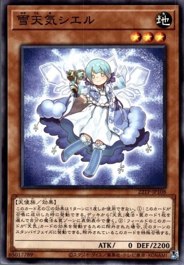 22TP-JP108 雪天気シエル