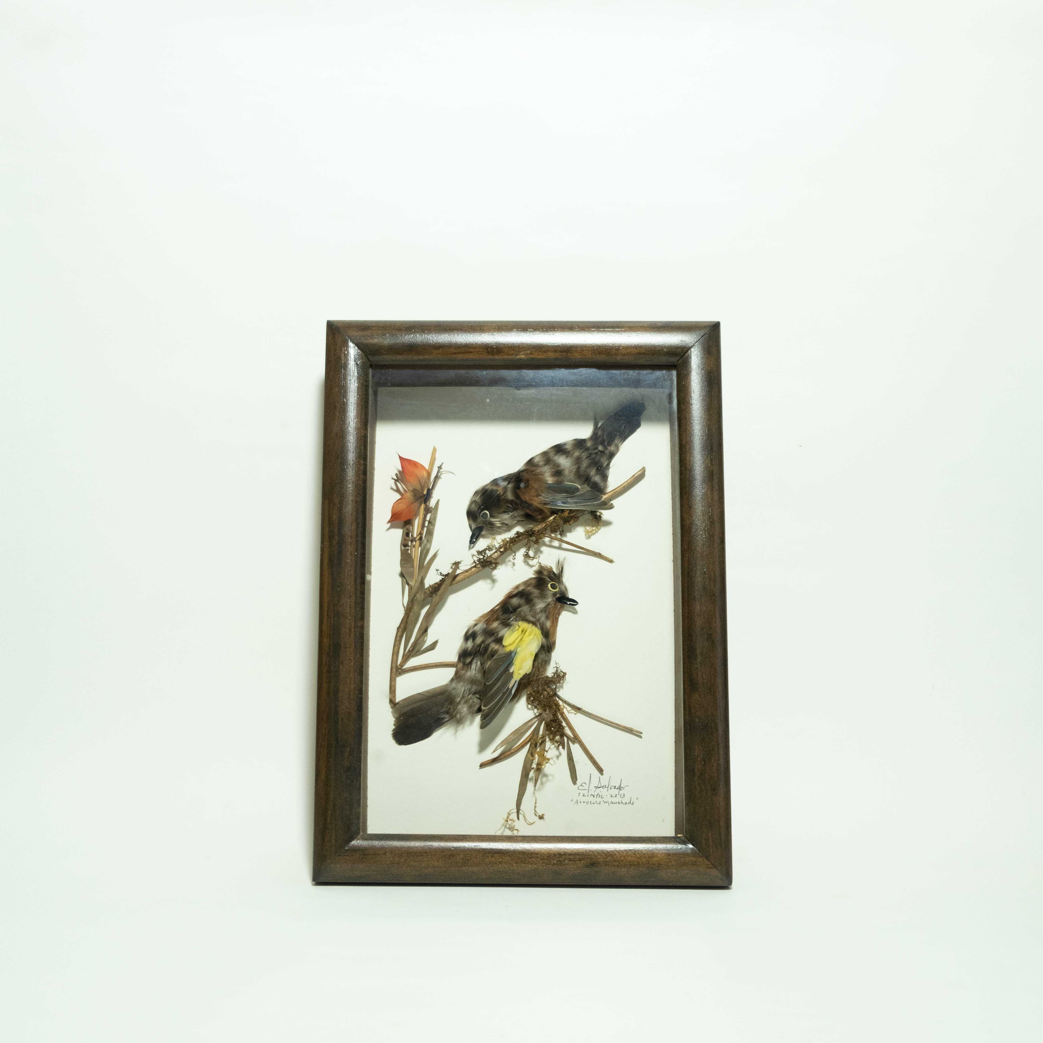 羽毛畫｜雙雀鳥｜薩爾瓦多