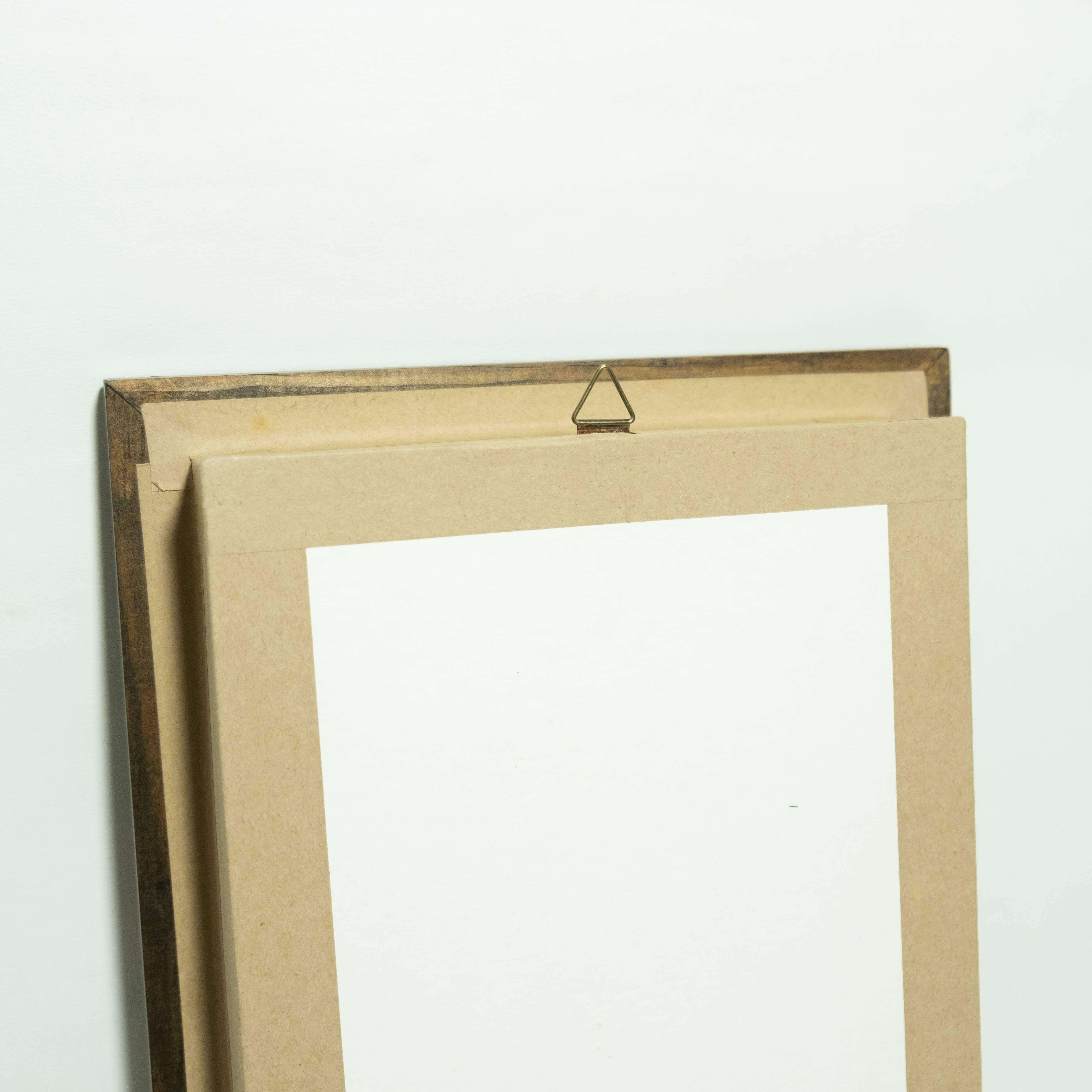 羽毛畫｜大嘴鳥｜薩爾瓦多