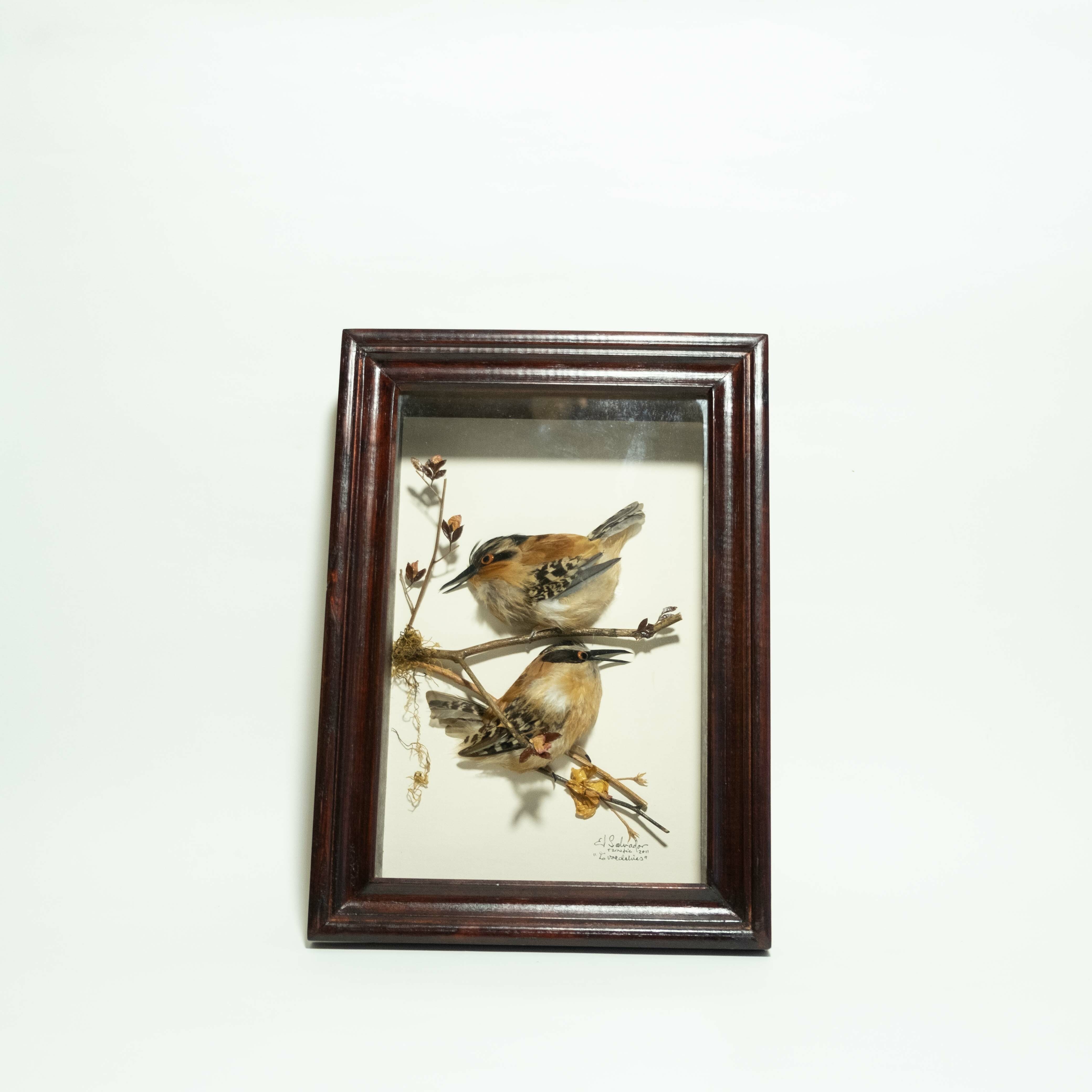 羽毛畫｜雙雀鳥｜薩爾瓦多