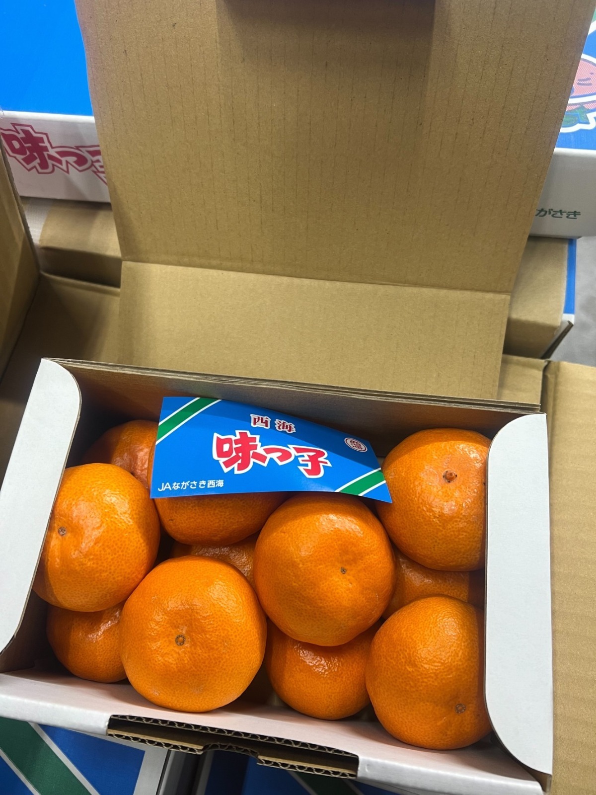 長崎 西海味之子蜜柑 約1.2kg/盒