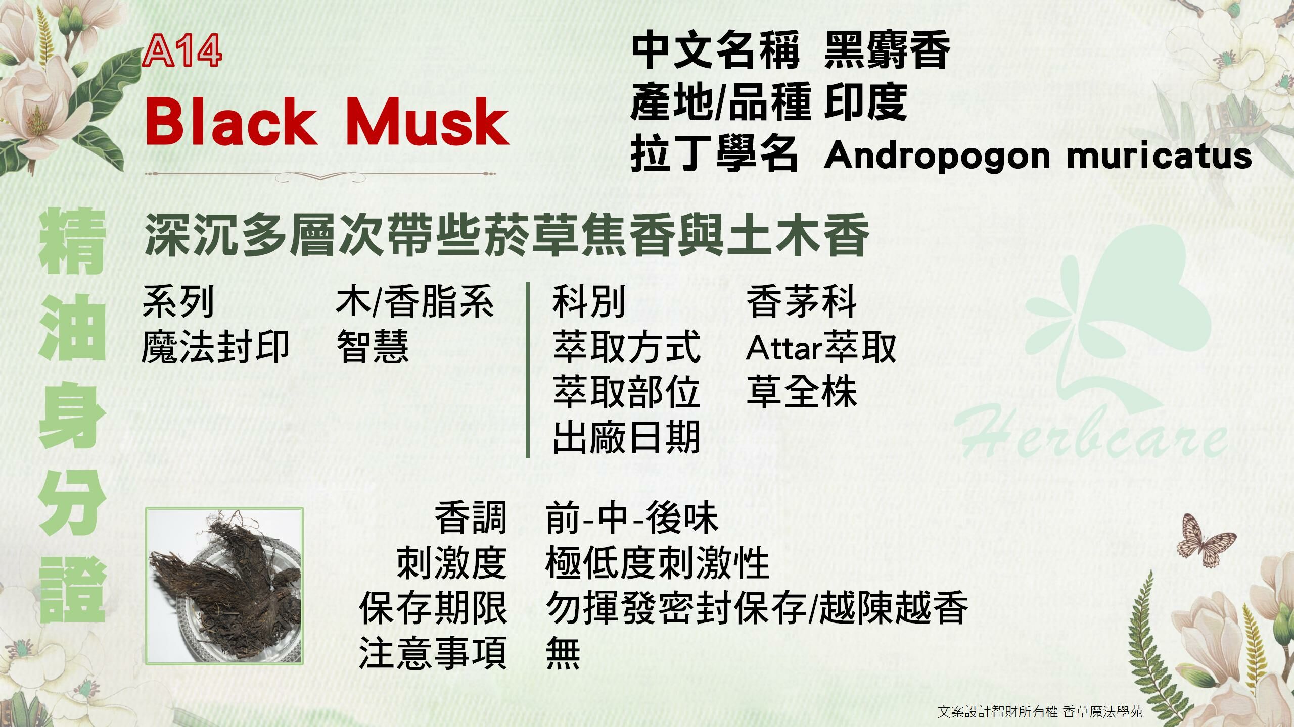 黑麝香 麝香草底Attar純精油