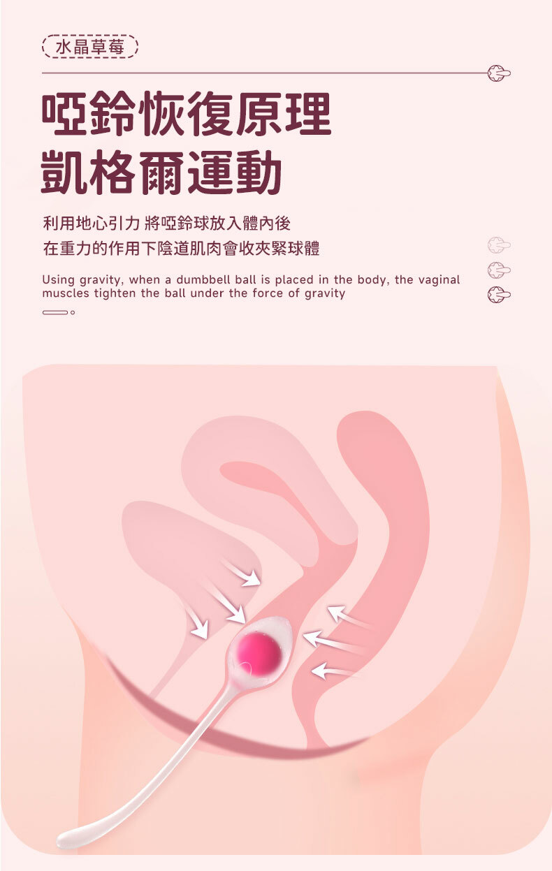 水晶草莓｜聰明球｜5階段重量｜凱格爾運動
