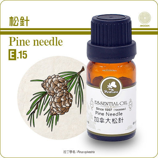加拿大野生松針純精油