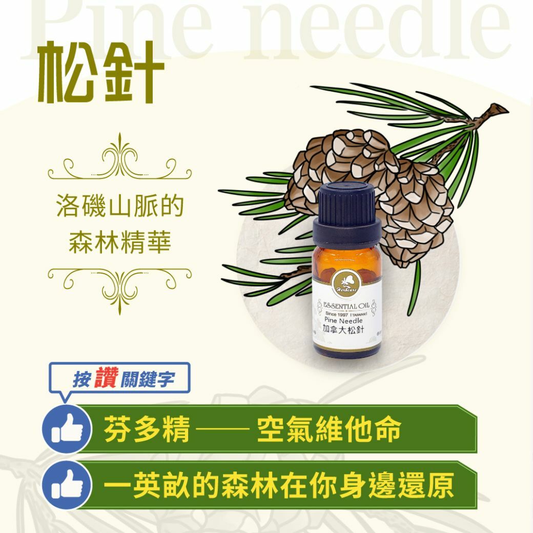 加拿大野生松針純精油